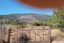 Municipal Park Ninhue景点图片