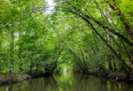 Regional Natural Park of the Marais Poitevin景点图片