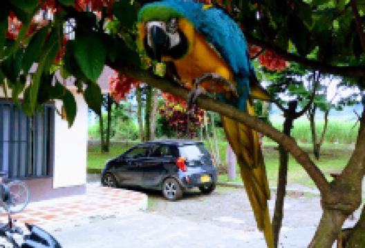 Parque pio XII景点图片