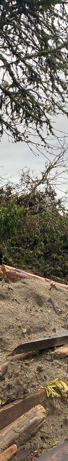 Seacliff State Beach-阿普托斯