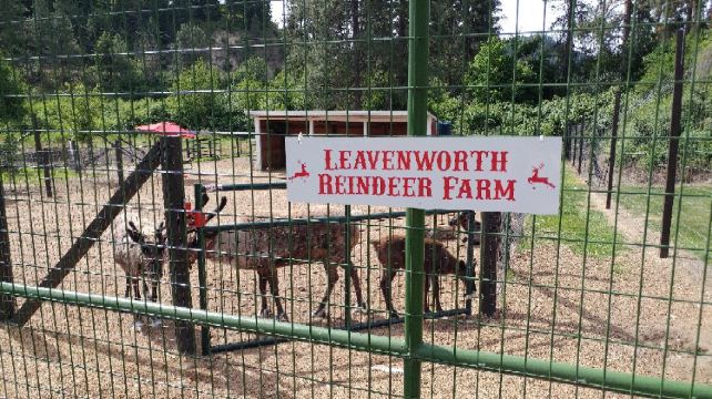 2-Day Wenatchee Tour from Vancouver·Christmas Lighting Festival, Seattle Premium Outlets, Leavenworth | Hotel Breakfast Included