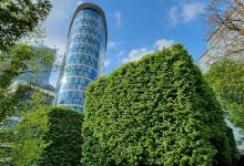 Botanical Garden景点图片