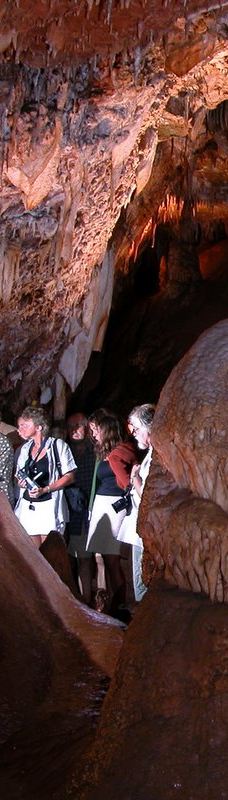 Jama - Grotta Baredine-Gedici