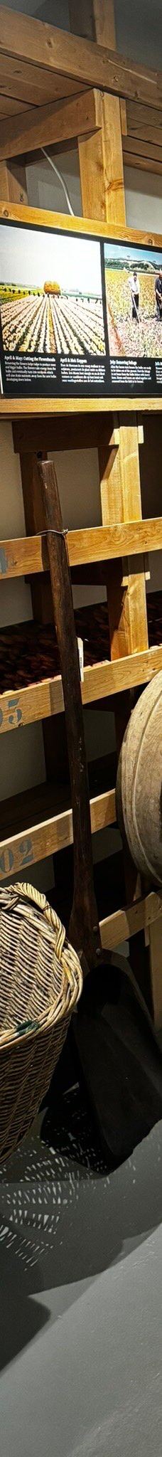 阿姆斯特丹郁金香博物馆-阿姆斯特丹