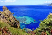 Soufriere Scottshead Marine Reserve景点图片