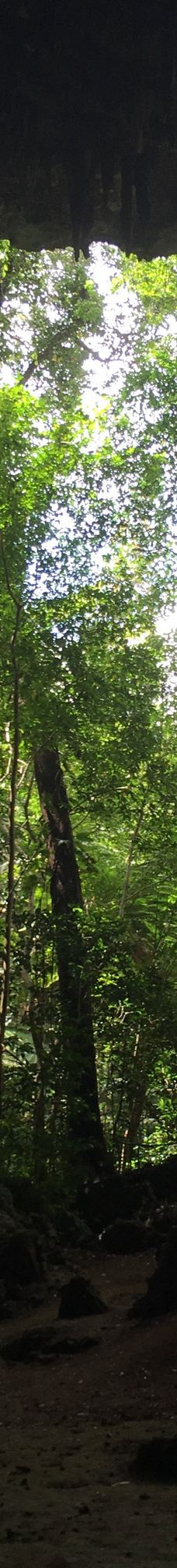 Grotte de Hortense-松树岛