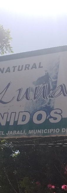 Tamasopo Falls-塔马索波