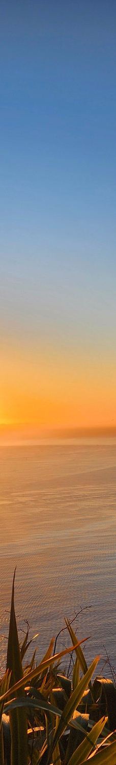 Mauao / Mount Maunganui summit-塔朗哥