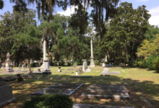 New Live Oak Cemetery景点图片