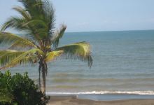 Playa El Puerto景点图片