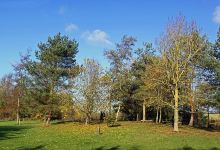 Long Buckby Pocket Park景点图片