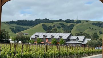 Roche Winery Downtown