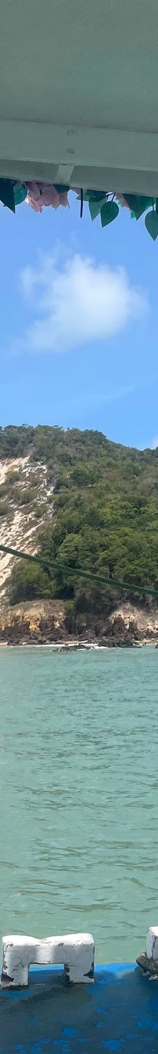 Jangalancha Show-纳塔尔