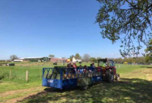 Raglan Farm Park景点图片