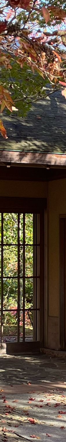 Shirakumo Pond-云仙市