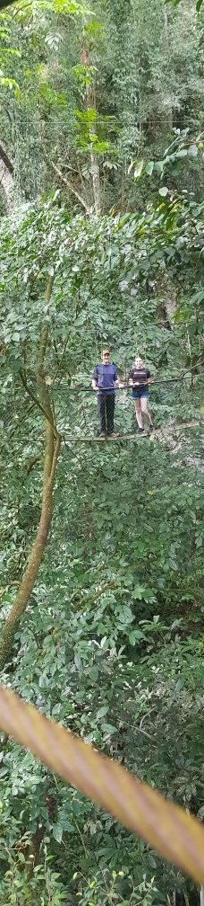 Mulu Skywalk-马鲁迪