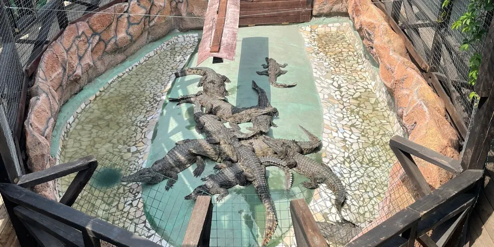 永安旅遊