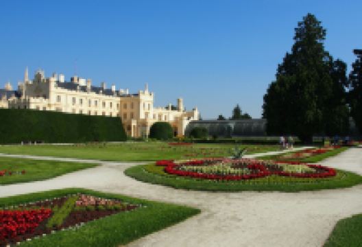 Castle Greenhouse景点图片