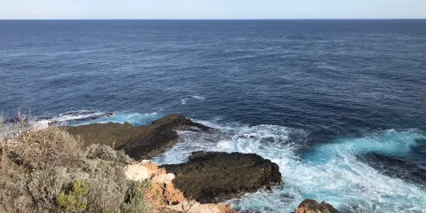 Cape Nelson State Park