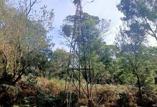 Peninsula Gardens Bushland Reserve景点图片