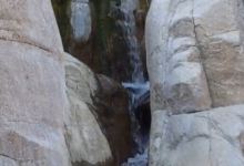 Camp Creek Falls景点图片