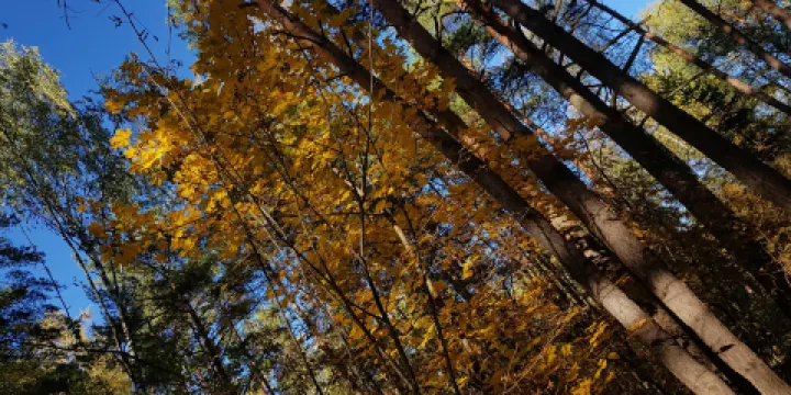 Prirodny Zakaznik Zhulebinskiy