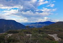 Kanangra-Boyd Plateau Cliff景点图片