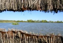 Maison des étangs du Forez / Réserve de Biterne景点图片