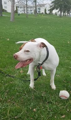 Glendale Park-尤宁