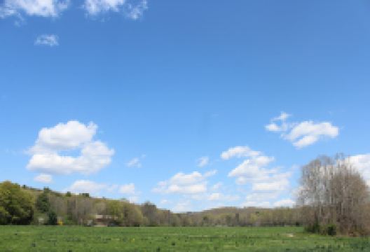 Three Rivers Field景点图片