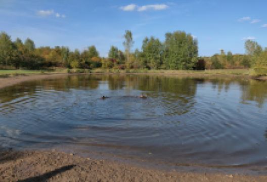 Cleary Lake Dog Park景点图片
