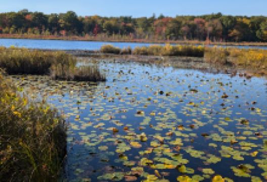 Grassy Pond Conservation Land景点图片