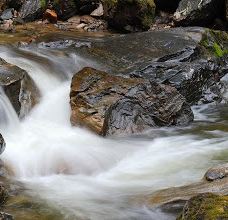 Chase Creek Falls-汤普森-尼古拉