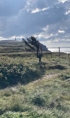 Kongestenen ved Mårup Kirke-约灵