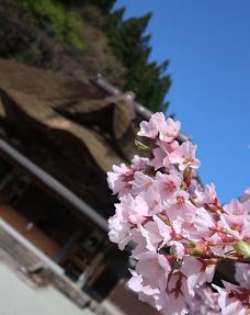 Ryugen-ji-由利本庄市