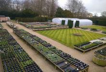 Studley Royal Garden Centre购物图片