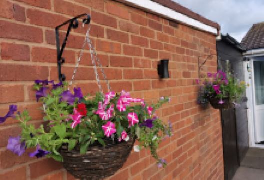 Chadwick Bank Nurseries.购物图片