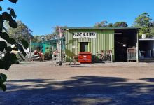 Bribie Island Community Nursery & Wallum Action Group购物图片