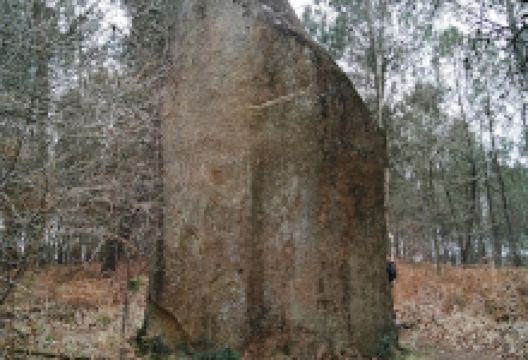 Menhir de Ranion景点图片