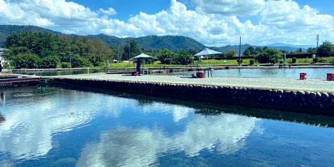 Azumino Fishing Center