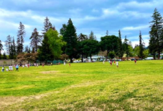 Marijane Hamann Park景点图片