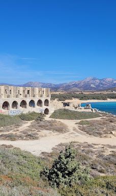 Cedar Forest of Alyko-纳克索斯