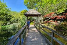 The Japanese Garden & Bonsai Nursery景点图片