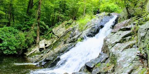 Norvin Green State Forest