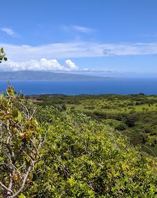 West Maui Forest Reserve-茂宜县