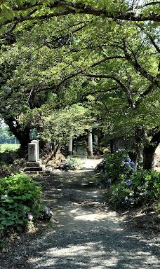 Cat's Shrine-高畠町