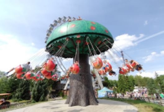 Apple Flight景点图片