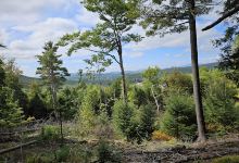 Cougar Hill Nature Trails景点图片