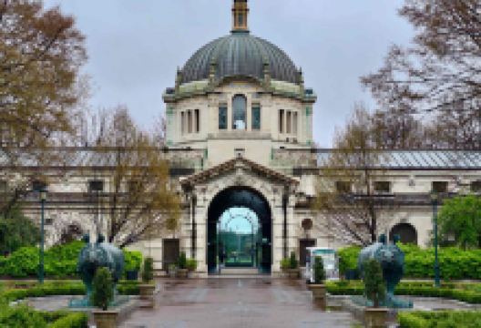 布朗克斯动物园景点图片