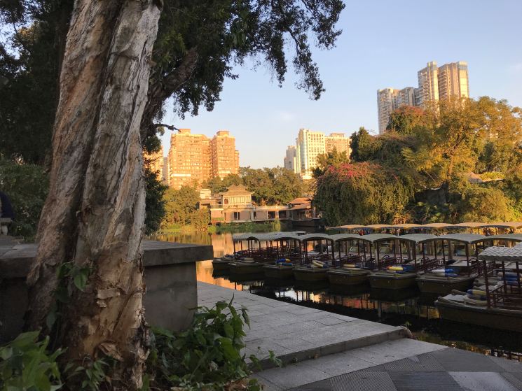 荔湾湖公园景点图片 41